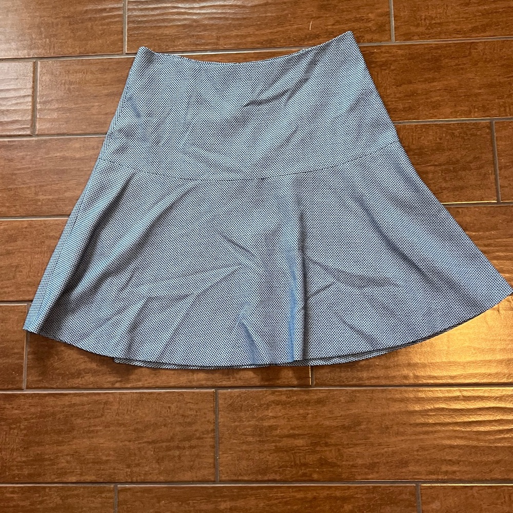 Cute Blue and White Skater Skirt